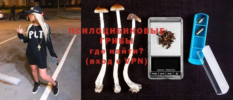 Псилоцибиновые грибы Cubensis  hydra зеркало  Борзя  где продают  